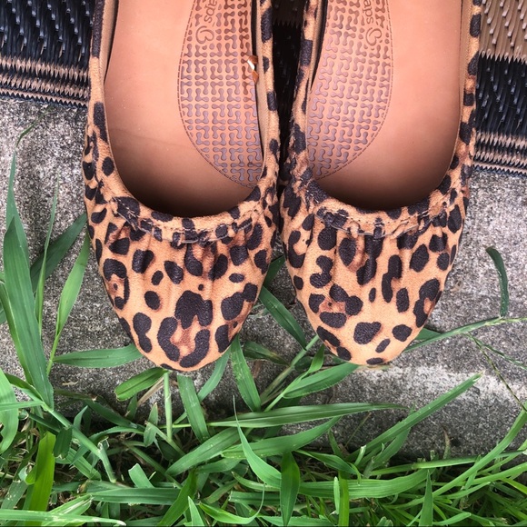 BareTraps Shoes - New BareTraps Leopard Wedges Size 8